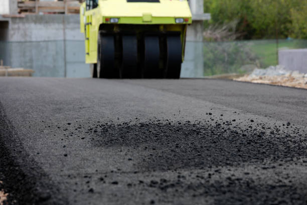 Best Local Driveway Pavers  in Sun Valley, NV